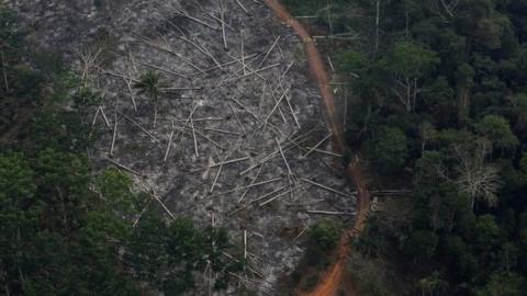 An aerial view of a deforested plot of the Amazon. File photo