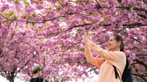 a girl takes pictures of flowers in lviv