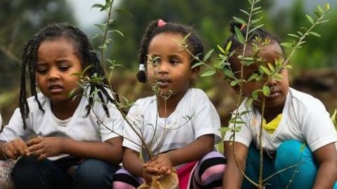 Ethiopian children planting tree seedlings