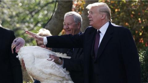 President Trump pardons a turkey.