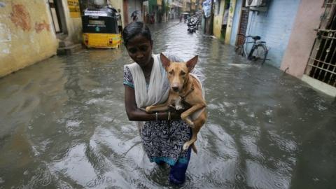 A woman carries a dog as she wades through a water-logged neighbourhood during rains in Chennai, India, November 1, 2017