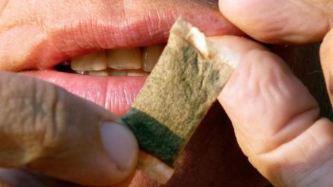 A woman shows portions of snus, a moist powder tobacco product that is consumed by placing it under the lip.