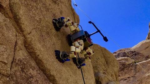Lemur robot up a cliff