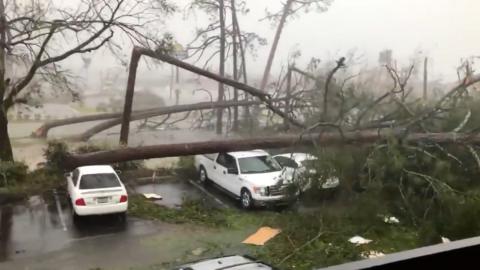 Trees down in Panama City, Florida