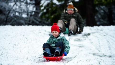 sledging