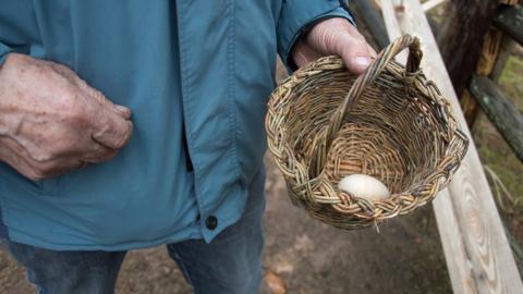 Elderly person and egg