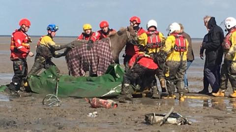 The horse having been extracated from the mud