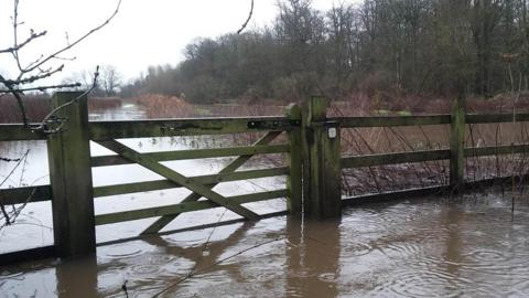 Flooded field with a wooden gate in the foreground