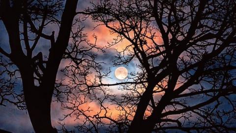 Wolf moon in Ballycastle