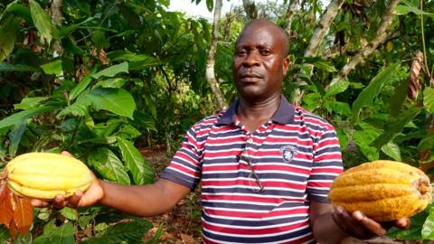 George Koffi Kouame holding cocoa pods
