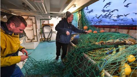 Fishermen at work