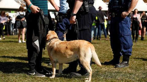 Police officers and drug detection dogs walk amongst festival goers by an entrance to Splendour In The Grass 2019