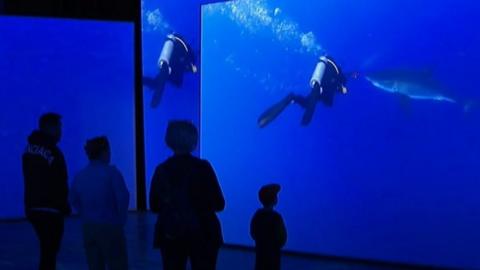 Visitors at Chester Zoo's virtual shark tank