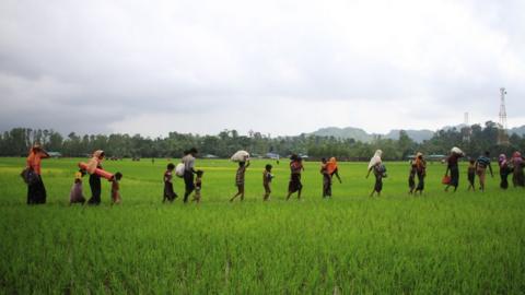 Rohingya refugees from Rakhine state in Myanmar walk along a path near Teknaf in Bangladesh on September 3, 2017.