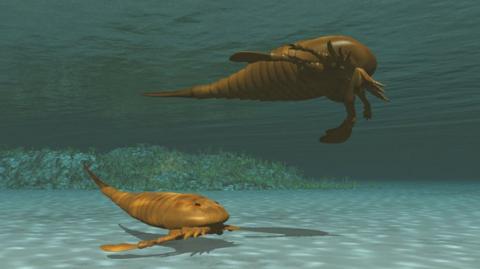 Animated image of sea scorpion, swimming in the sea