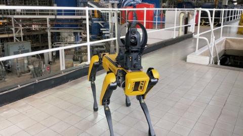 Robotic dog at Drax power station
