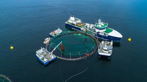 Norway fish farm