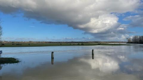 WEDNESDAY - Port Meadow