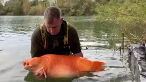 Andy Hackett returns Carrot to the water