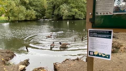 Shaftesbury Lake where bird flu has been confirmed