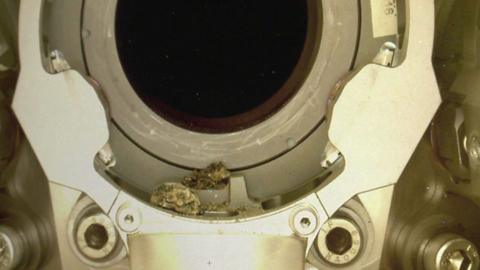 Pebbles shown caught up on the Mars Perseverance Rover