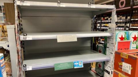 Empty shelves at a supermarket where eggs are normally sold