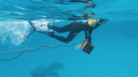 Diver recording ocean soundscape