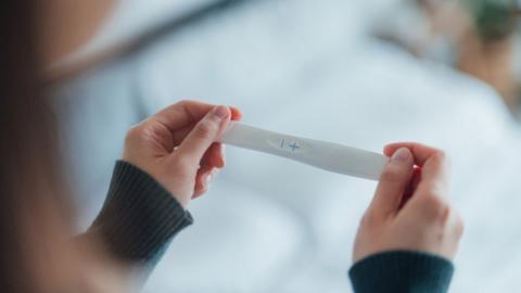 pregnancy test