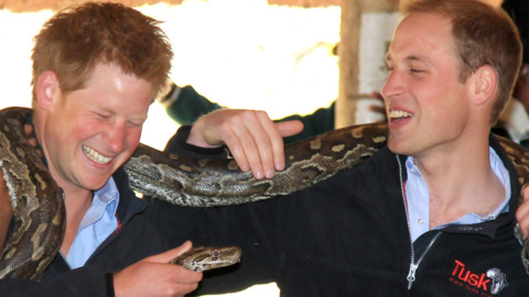 Prince Harry (L) and Prince William (R) hold an African rock python during a visit to Mokolodi Education Centre on 15 June 2010 in Gaborone, Botswana