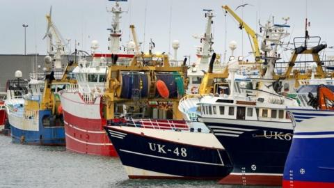 Fishing boats