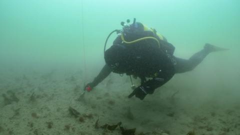Scuba diver planting seagrass seeds