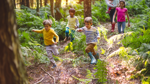 Children in woods