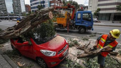 The storm brought trees down across Taiwan