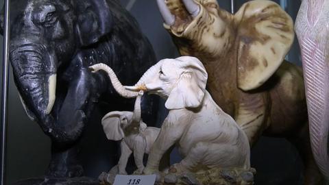 Model elephants