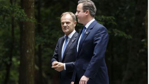 European Council President Donald Tusk with former PM David Cameron