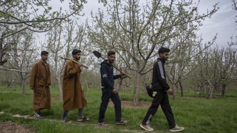 Kashmir search