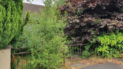 Derelict house