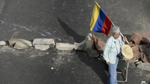 A woman holds a Venezuelan flag during protests on 15 May