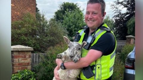 Police officer with a sheep