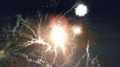 Fireworks exploding in a nights sky