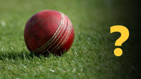 Cricket ball