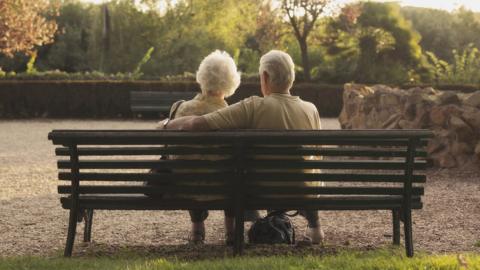 Senior couple sitting on bench in park, rear view - stock photo