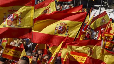 Demonstrators hold Spanish flags in Madrid.