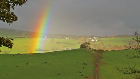 Mike has lived in Wales for the past twenty years and has attempted to reclaim the queerness of the countryside