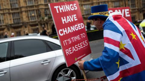 Brexit protester