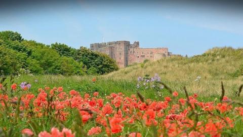 A field of red poppies in the foreground with fields, a castle and blue sky behind