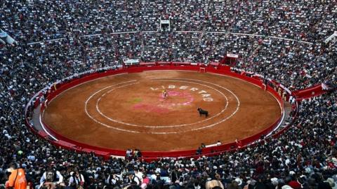 Spectators watch a bullfight at the Plaza de Mexico in Mexico City, 28 Jan 24