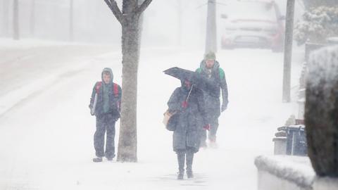 Snow in Northern Ireland 01 March 2018