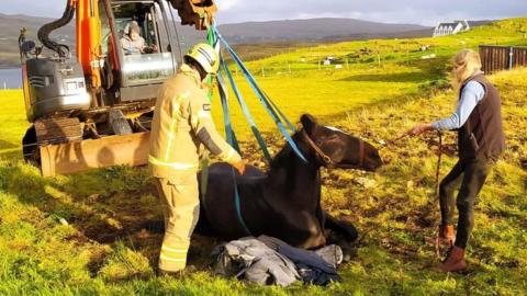 Skye horse rescue