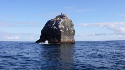 Nick Hancock on Rockall, June 2014